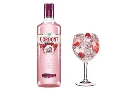 Gordons Gin Pink 1 lit